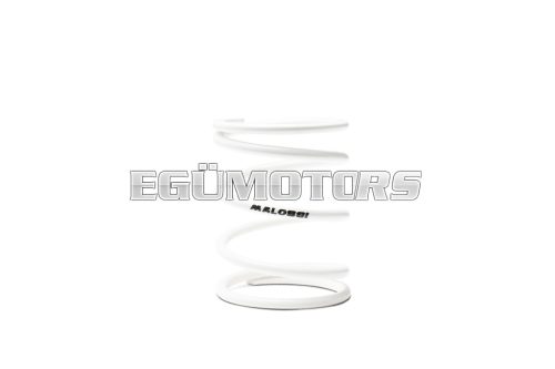 Malossi WHITE VARIATOR ADJUSTER SPRING ext.78,8x96mm thread 6,3mm 14k