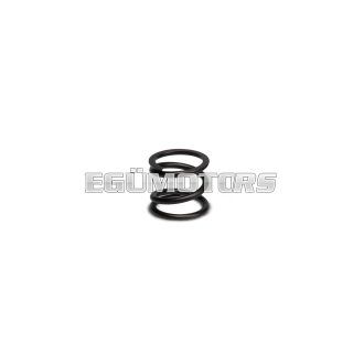 Malossi REINFORCED CLUTCH SPRING