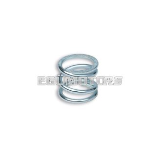 Malossi REINFORCED CLUTCH SPRING PIAGGIO APE/VESPA 50-125