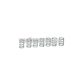   Malossi 7 CLUTCH SPRING for for ORIGINAL CLUTCH BELL and POWER UP CLUTCH SYSTEM