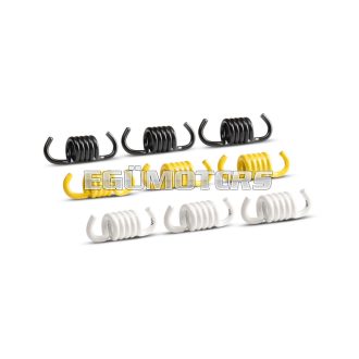 Malossi CLUTCH SPRINGS SET (f.eng.with VARIATOR)