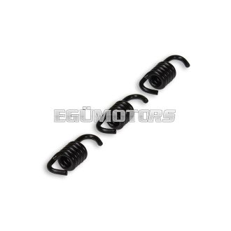 Malossi 3 BLACK REINFOR. SPRINGS 1,6 for CLUTCH