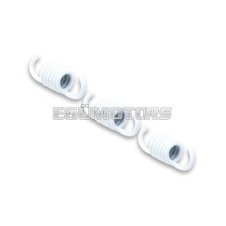 Malossi 3 WHITE SUP.REIN.SPRINGS 1,8 for CLUTCH