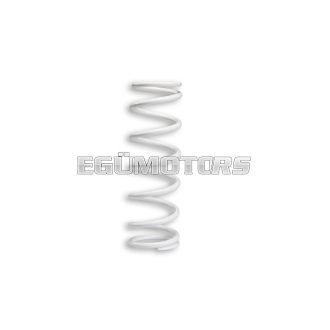 Malossi REAR SHOCK ABSORBER SPRING