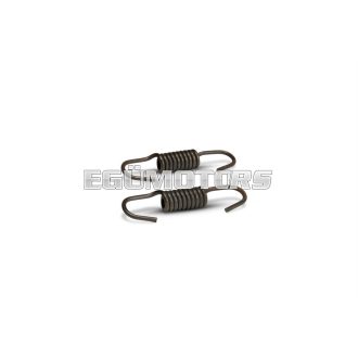Malossi SPRING SET for BRAKE SHOES