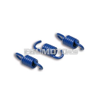Malossi 3 BLUE REINFORCED CLUTCH SPRINGS 2