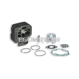 Malossi CAST-I-CYLINDER 47