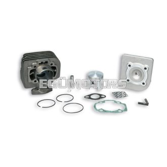 Malossi CAST-I-CYLINDER KIT 47 pin 10
