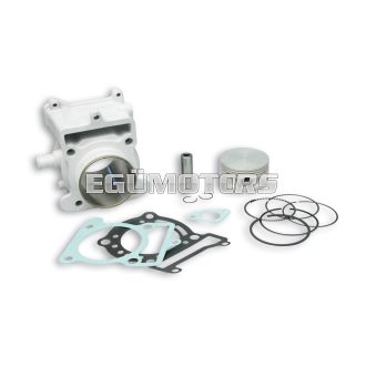 Malossi ALUMIN-CYLINDER 63 H2O 4-stroke