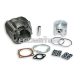 Malossi CAST-I-CYLINDER 57,5 pin 14