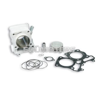 Malossi ALUMIN-CYLINDER 61 pin 14 H2O 4-stroke