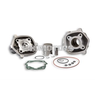 Malossi ALUMIN-CYL. KIT 39,88 pin 12 H2O MHR REP.