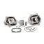 Malossi ALUMIN-CYL. KIT 39,88 pin 12 H2O MHR REP.