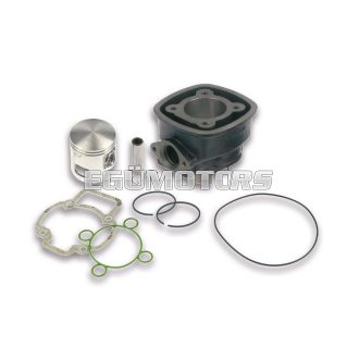 Malossi CAST-I-CYLINDER 47