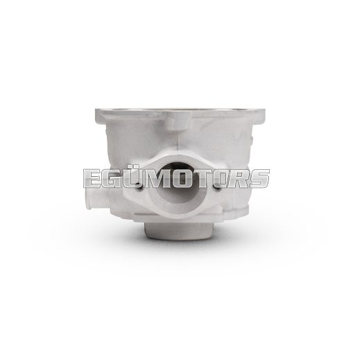 Malossi ALUM-CYLINDER 50 H2O MHR TEAM for mod-head