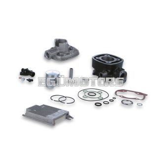 Malossi CAST-I-CYL. KIT 47 pin 12 H2O I-TECH