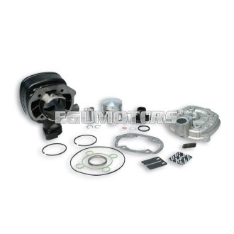 Malossi CAST-I-CYL. KIT 47 pin 12 H2O