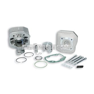 Malossi ALUMIN-CYL. KIT 47 pin 12 MHR REP.