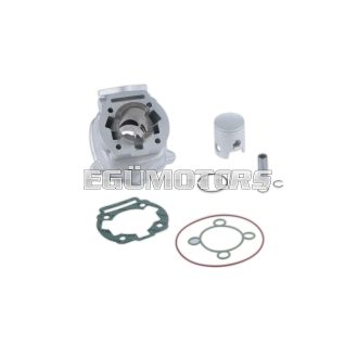 Malossi ALUM-CYLIND. 39,88 pin 12 H2O MHR REP