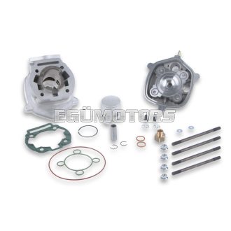Malossi ALUMIN-CYL. KIT 39,88 pin 12 H2O MHR REP.