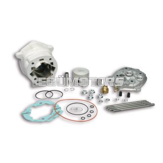 Malossi ALUMIN-CYLINDER KIT 50 H2O MHR REP.