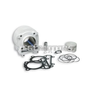 Malossi ALUMIN-CYLINDER 58 pin 15 4-stroke