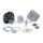 Malossi CAST-I-CYLINDER KIT 47 pin 12