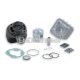 Malossi CAST-I-CYLINDER KIT 47 pin 12