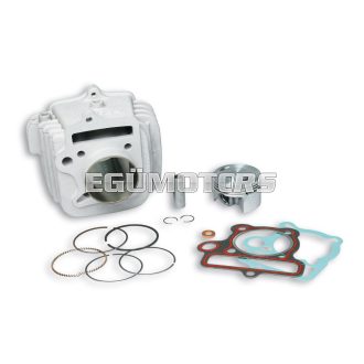 Malossi ALUMIN-CYLINDER 53 pin 13  PIT BIKE 110 4t