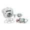 Malossi ALUMIN-CYLINDER 53 pin 13  PIT BIKE 110 4t