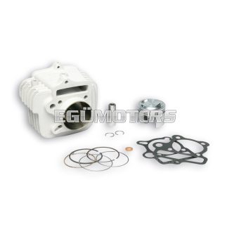 Malossi ALUMIN-CYLINDER 56 pin 15  PIT BIKE 140 4t