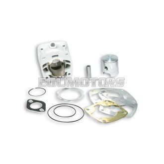 Malossi ALUM-CYL. 40 pin 10 H2O MINI MOTO