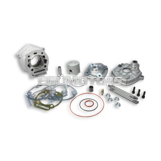 Malossi ALUMIN-CYLINDER KIT 50 H2O MHR TEAM REP. mod-head