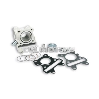 Malossi ALUM-CYL. 44 pin 10 H2O 4-stroke