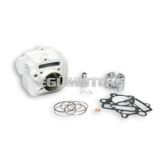 Malossi ALUMIN-CYLINDER 56 pin 13  PIT BIKE 125 4t