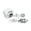 Malossi ALUMIN-CYLINDER 56 pin 15  PIT BIKE 150 4t