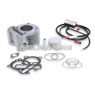 Malossi ALUM-COMPL.CYL. 58 pin 15 I-TECH 4-stroke