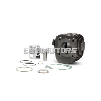 Malossi CAST-I-CYLINDER 40 pin 12