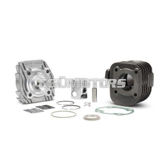 Malossi CAST-I-CYLINDER KIT 40 pin 12