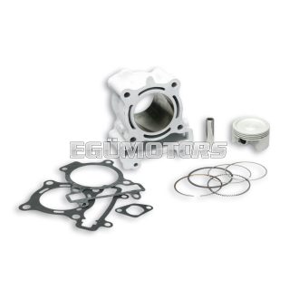 Malossi ALUM-CYL. 63 pin 14 H2O I-TECH 4-stroke