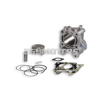 Malossi ALUM-CYL. 61 pin 13 H2O 4-stroke