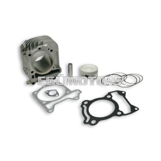 Malossi ALUM-CYL. 63 pin 14 4-stroke