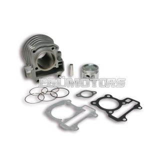 Malossi ALUM-CYL. 49 pin 10 4-stroke