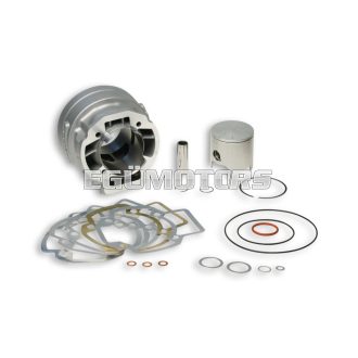 Malossi ALUMIN.CYL. 47,6 H2O MHR TEAM for modular-head