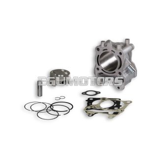 Malossi ALUM-CYL. 61 pin 14 H2O 4-stroke