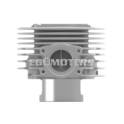 Malossi ALUMIN-CYL. KIT 63 alum. CVF2 pin 15 MHR