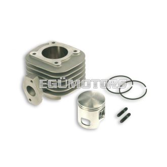 Malossi ALUM-CYL. 47 pin 12