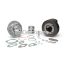 Malossi CAST-I-CYLINDER KIT 57,5 pin 15