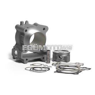 Malossi ALUM-COMPL.CYL. 63 pin 14 H2O I-TECH 4-stroke