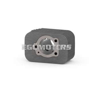 Malossi CAST-I-CYLINDER 43 pin 10 BASE+CVF